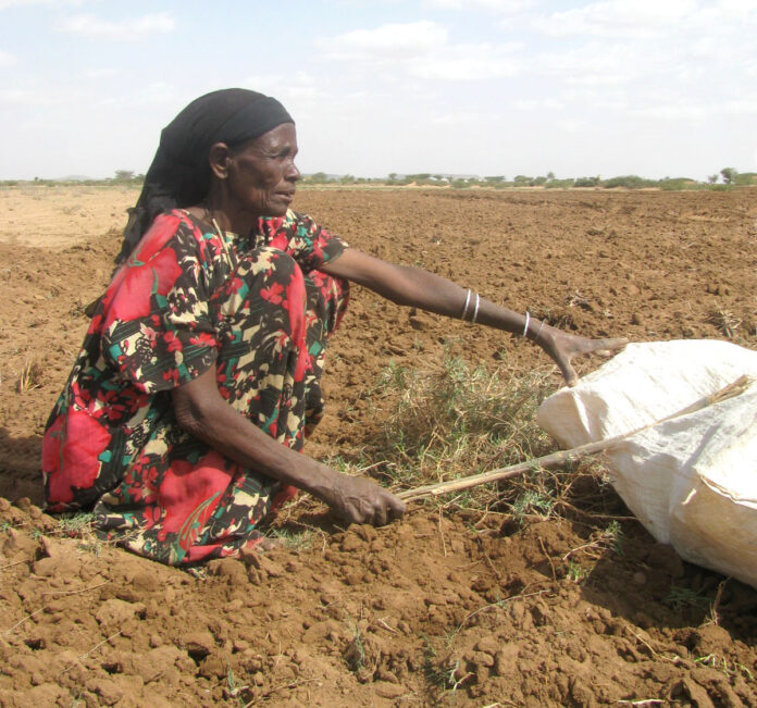 Almost 48 million people in Southern Africa are food insecure with the situation expected to worsen between November this and March 2021