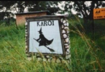 The Karoi Town Council reported its housing director to the police leading to her arrest and subsequent suspension while the case is under investigation