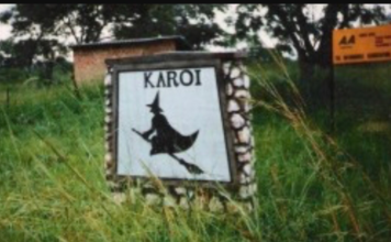 The Karoi Town Council reported its housing director to the police leading to her arrest and subsequent suspension while the case is under investigation