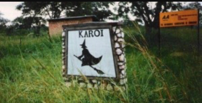 Karoi The Karoi Town Council reported its housing director to the police leading to her arrest and subsequent suspension while the case is under investigation