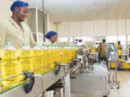 Zim manufacturing sector imports 70% of its raw materials Industry