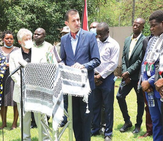 Palestine Ambassador 2 680x380 1