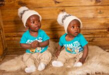 Twins born as a result of the IVF programme