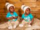 Twins born as a result of the IVF programme