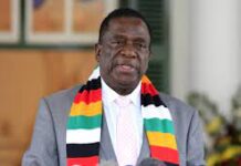 Emmerson Dambudzo Mnangagwa