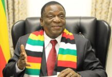 Emmerson Mnangagwa