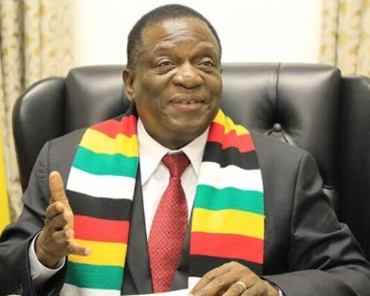 ‘Time up’ ED tells MPs Emmerson Mnangagwa