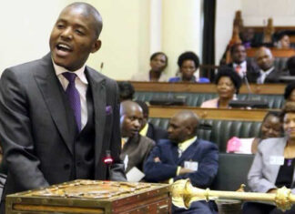 Justice Wadyajena