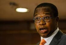 Prof Mthuli Ncube