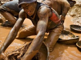 Zimbabwe Reserves Small-Scale Gold Mining for Citizens, Declares Critical and Strategic Mineral Schedules