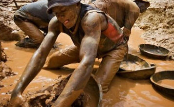 Zimbabwe Reserves Small-Scale Gold Mining for Citizens, Declares Critical and Strategic Mineral Schedules