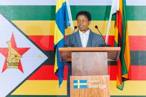 Deputy Minister of Public Service, Labour and Social Welfare, Mercy Dinha