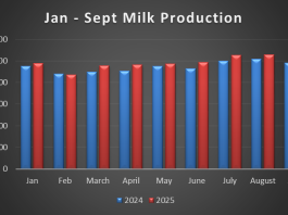 Milk production sees record September