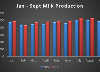 Milk production sees record September
