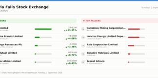 CBZ Holdings, ZSE Holdings lead ZSE higher; Caledonia Mining reverses earlier surge on VFEX