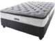Restapedic can push to 10,000 beds a month without new machines, says AXIA